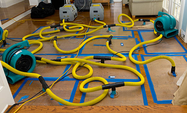 Professional Structural Drying And Dehumidification technician working in Linden, CA
